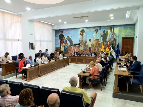 Sesión ordinaria del Pleno del Ayuntamiento de Rincón de la Victoria