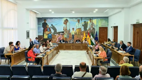 Pleno del Ayuntamiento de Rincón de la Victoria